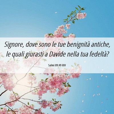 Picture 06 - Salmi 89:49 RIV - Signore, dove sono le tue benignità antiche, le - Bible Verse Picture
