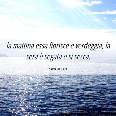 Picture 06 - Salmi 90:6 RIV - la mattina essa fiorisce e verdeggia, la sera è - Bible Verse Picture