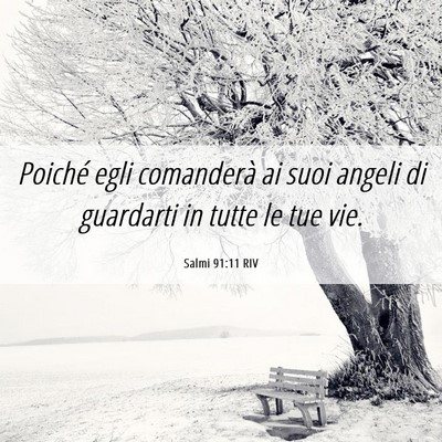 Picture 06 - Salmi 91:11 RIV - Poiché egli comanderà ai suoi angeli di - Bible Verse Picture