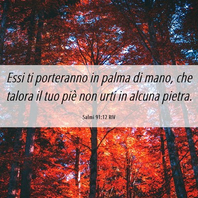 Picture 06 - Salmi 91:12 RIV - Essi ti porteranno in palma di mano, che talora - Bible Verse Picture