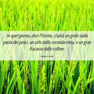 Picture 06 - Sofonia 1:10 RIV - In quel giorno, dice l’Eterno, s’udrà un - Bible Verse Picture