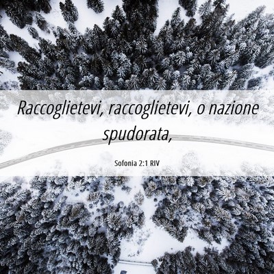 Picture 06 - Sofonia 2:1 RIV - Raccoglietevi, raccoglietevi, o nazione - Bible Verse Picture
