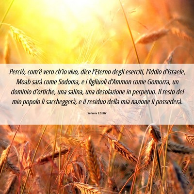 Picture 06 - Sofonia 2:9 RIV - Perciò, com’è vero ch’io vivo, dice - Bible Verse Picture