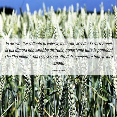 Picture 06 - Sofonia 3:7 RIV - Io dicevo: “Se soltanto tu volessi, temermi, - Bible Verse Picture