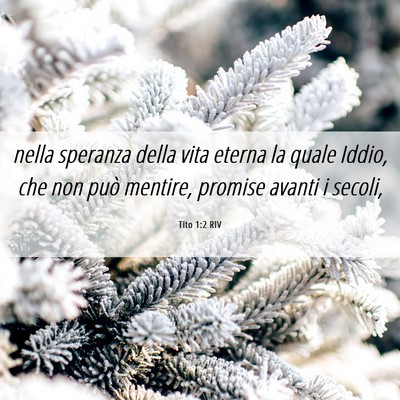 Picture 06 - Tito 1:2 RIV - nella speranza della vita eterna la quale Iddio, - Bible Verse Picture
