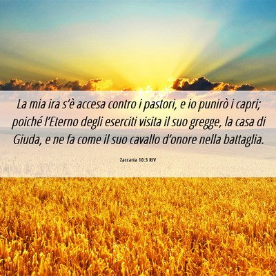 Picture 06 - Zaccaria 10:3 RIV - La mia ira s’è accesa contro i pastori, e io - Bible Verse Picture