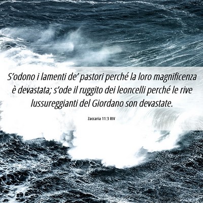 Picture 06 - Zaccaria 11:3 RIV - S’odono i lamenti de’ pastori perché la loro - Bible Verse Picture