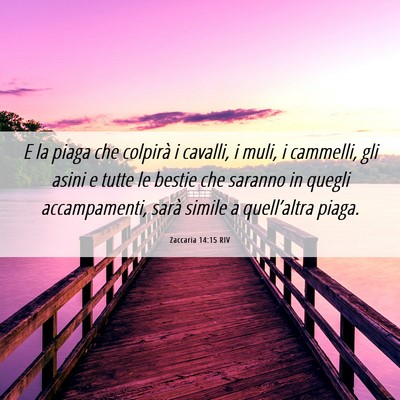 Picture 06 - Zaccaria 14:15 RIV - E la piaga che colpirà i cavalli, i muli, i - Bible Verse Picture