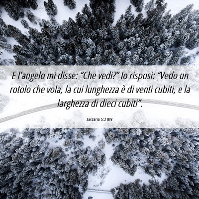 Picture 06 - Zaccaria 5:2 RIV - E l’angelo mi disse: “Che vedi?” Io - Bible Verse Picture