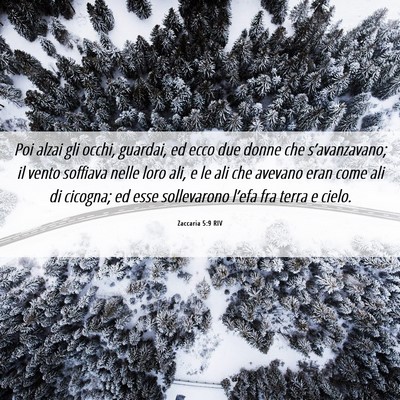 Picture 06 - Zaccaria 5:9 RIV - Poi alzai gli occhi, guardai, ed ecco due donne - Bible Verse Picture