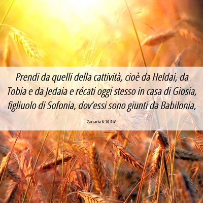 Picture 06 - Zaccaria 6:10 RIV - Prendi da quelli della cattività, cioè da - Bible Verse Picture