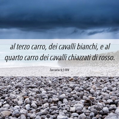 Picture 06 - Zaccaria 6:3 RIV - al terzo carro, dei cavalli bianchi, e al quarto - Bible Verse Picture
