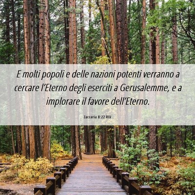 Picture 06 - Zaccaria 8:22 RIV - E molti popoli e delle nazioni potenti verranno a - Bible Verse Picture
