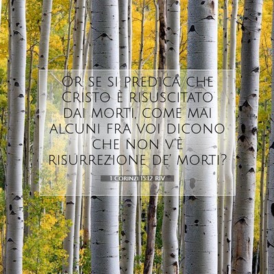 Picture 07 - 1 Corinzi 15:12 RIV - Or se si predica che Cristo è risuscitato dai - Bible Verse Picture