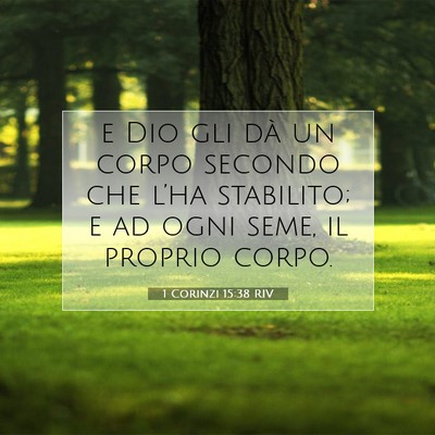 Picture 07 - 1 Corinzi 15:38 RIV - e Dio gli dà un corpo secondo che l’ha - Bible Verse Picture