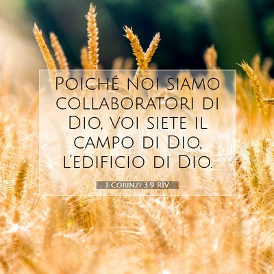Picture 07 - 1 Corinzi 3:9 RIV - Poiché noi siamo collaboratori di Dio, voi siete - Bible Verse Picture