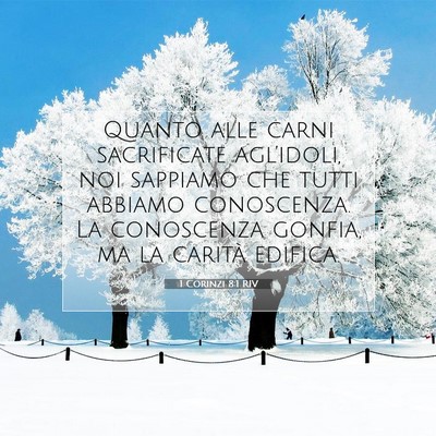 Picture 07 - 1 Corinzi 8:1 RIV - Quanto alle carni sacrificate agl’idoli, noi - Bible Verse Picture