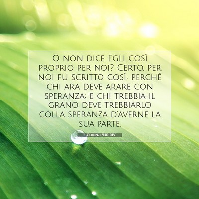 Picture 07 - 1 Corinzi 9:10 RIV - O non dice Egli così proprio per noi? Certo, per - Bible Verse Picture
