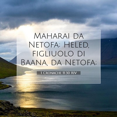 Picture 07 - 1 Cronache 11:30 RIV - Maharai da Netofa; Heled, figliuolo di Baana, da - Bible Verse Picture