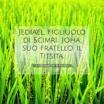 Picture 07 - 1 Cronache 11:45 RIV - Jediael, figliuolo di Scimri; Joha, suo fratello, - Bible Verse Picture