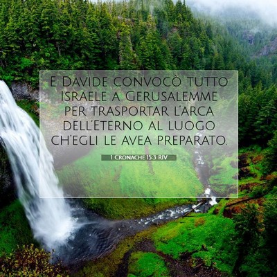 Picture 07 - 1 Cronache 15:3 RIV - E Davide convocò tutto Israele a Gerusalemme per - Bible Verse Picture
