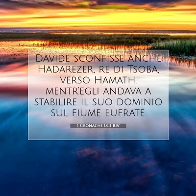 Picture 07 - 1 Cronache 18:3 RIV - Davide sconfisse anche Hadarezer, re di Tsoba, - Bible Verse Picture