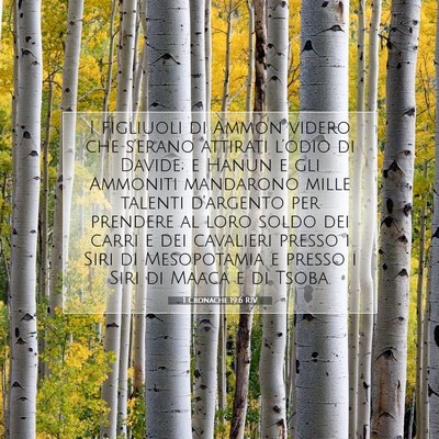 Picture 07 - 1 Cronache 19:6 RIV - I figliuoli di Ammon videro che s’erano - Bible Verse Picture
