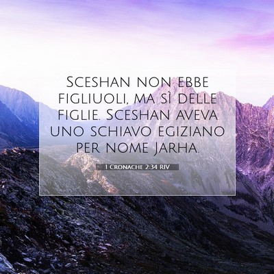 Picture 07 - 1 Cronache 2:34 RIV - Sceshan non ebbe figliuoli, ma sì delle figlie. - Bible Verse Picture