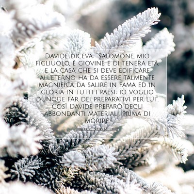 Picture 07 - 1 Cronache 22:5 RIV - Davide diceva: “Salomone, mio figliuolo, è - Bible Verse Picture