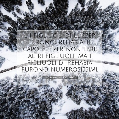 Picture 07 - 1 Cronache 23:17 RIV - E i figliuoli di Eliezer furono: Rehabia, il - Bible Verse Picture