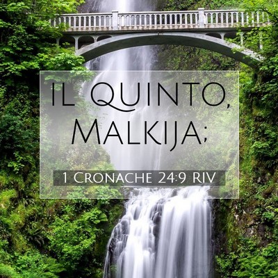 Picture 07 - 1 Cronache 24:9 RIV - il quinto, - Bible Verse Picture