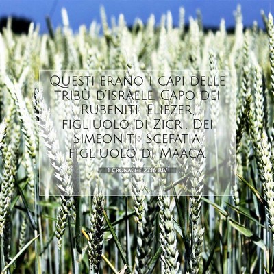 Picture 07 - 1 Cronache 27:16 RIV - Questi erano i capi delle tribù d’Israele. - Bible Verse Picture