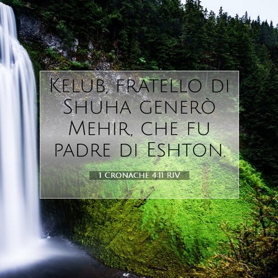 Picture 07 - 1 Cronache 4:11 RIV - Kelub, fratello di Shuha generò Mehir, che fu - Bible Verse Picture