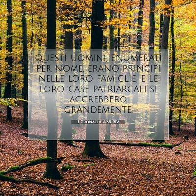 Picture 07 - 1 Cronache 4:38 RIV - questi uomini, enumerati per nome, erano principi - Bible Verse Picture