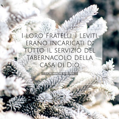 Picture 07 - 1 Cronache 6:48 RIV - I loro fratelli, i Leviti, erano incaricati di - Bible Verse Picture