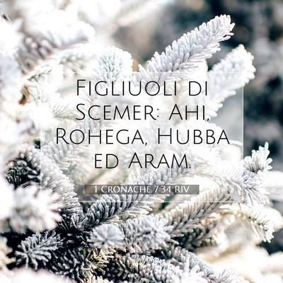 Picture 07 - 1 Cronache 7:34 RIV - Figliuoli di Scemer: Ahi, Rohega, Hubba ed - Bible Verse Picture
