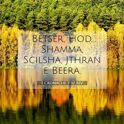 Picture 07 - 1 Cronache 7:37 RIV - Betser, Hod, Shamma, Scilsha, Jthran e - Bible Verse Picture