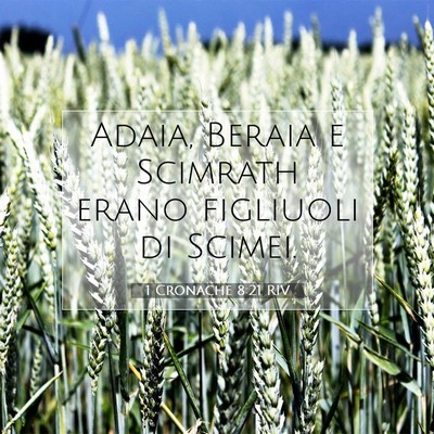 Picture 07 - 1 Cronache 8:21 RIV - Adaia, Beraia e Scimrath erano figliuoli di - Bible Verse Picture