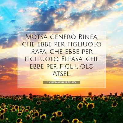Picture 07 - 1 Cronache 8:37 RIV - Motsa generò Binea, che ebbe per figliuolo Rafa, - Bible Verse Picture