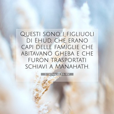 Picture 07 - 1 Cronache 8:6 RIV - Questi sono i figliuoli di Ehud, che erano capi - Bible Verse Picture