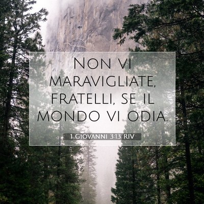 Picture 07 - 1 Giovanni 3:13 RIV - Non vi maravigliate, fratelli, se il mondo vi - Bible Verse Picture