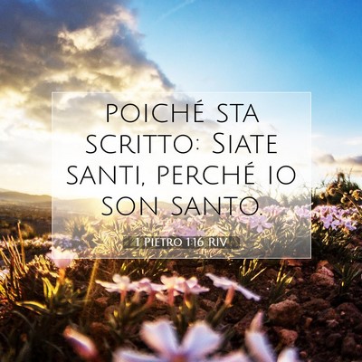 Picture 07 - 1 Pietro 1:16 RIV - poiché sta scritto: Siate santi, perché io son - Bible Verse Picture
