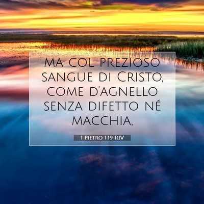 Picture 07 - 1 Pietro 1:19 RIV - ma col prezioso sangue di Cristo, come - Bible Verse Picture
