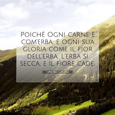 Picture 07 - 1 Pietro 1:24 RIV - Poiché Ogni carne è com’erba, e ogni sua - Bible Verse Picture