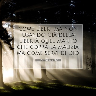 Picture 07 - 1 Pietro 2:16 RIV - come liberi, ma non usando già della libertà - Bible Verse Picture