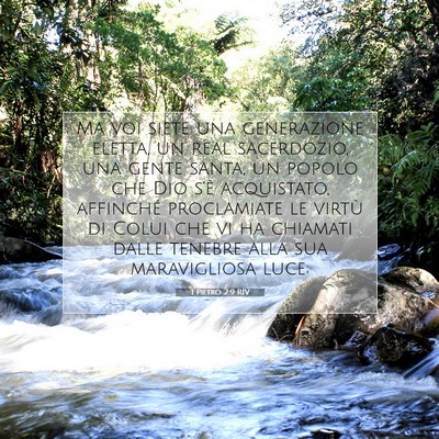 Picture 07 - 1 Pietro 2:9 RIV - Ma voi siete una generazione eletta, un real - Bible Verse Picture