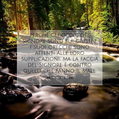 Picture 07 - 1 Pietro 3:12 RIV - perché gli occhi del Signore sono sui giusti e i - Bible Verse Picture