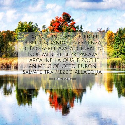 Picture 07 - 1 Pietro 3:20 RIV - i quali un tempo furon ribelli, quando la - Bible Verse Picture
