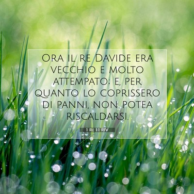 Picture 07 - 1 Re 1:1 RIV - Ora il re Davide era vecchio e molto attempato; - Bible Verse Picture