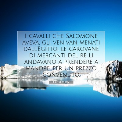 Picture 07 - 1 Re 10:28 RIV - I cavalli che Salomone aveva, gli venivan menati - Bible Verse Picture